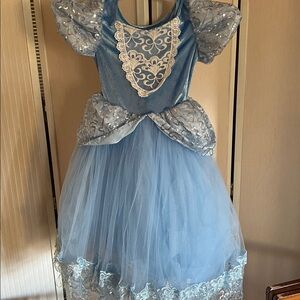 Blue Princess  Cinderella Dress with Lace Details